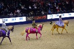 Quadrille - 00468